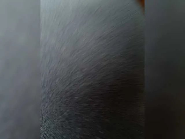 Offline APRILHILL on BongaCams