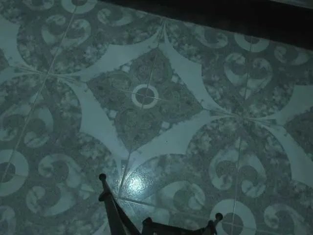 Freechat ArianaDiosa on BongaCams