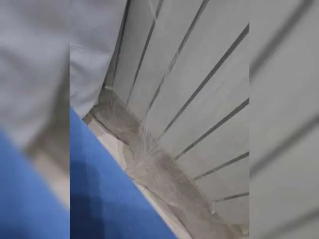 Offline Baynti777 on BongaCams