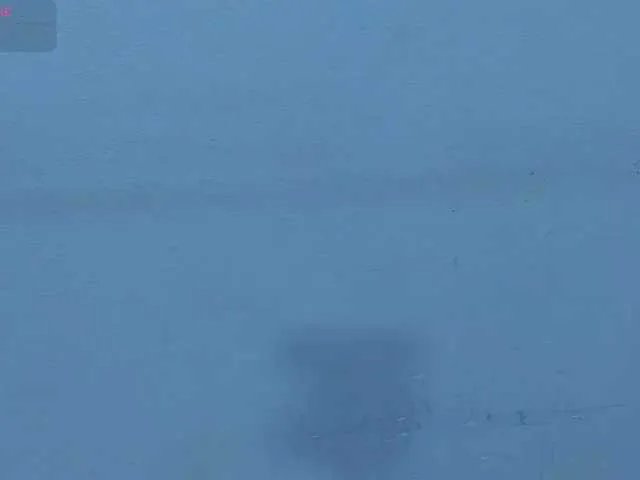 Offline Harsh-mode on BongaCams