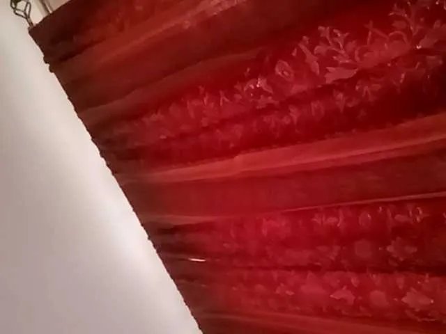 Freechat Horny-vyxen on BongaCams