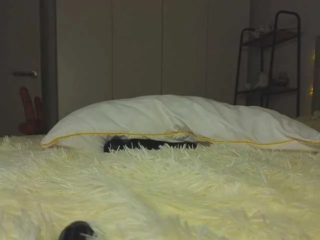 Freechat lili-roze on BongaCams