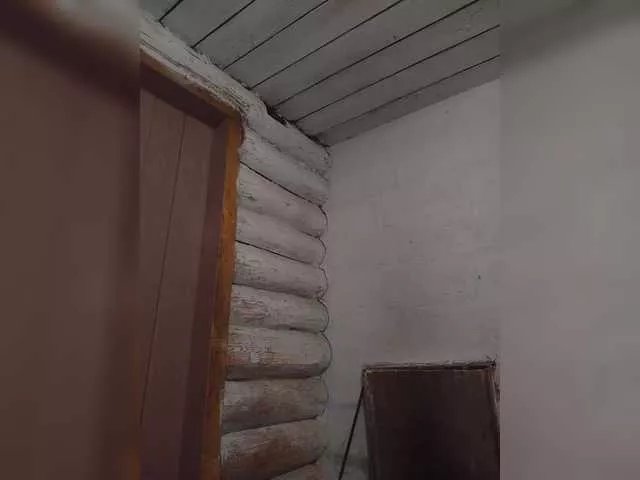 Freechat Mussypussy222 on BongaCams