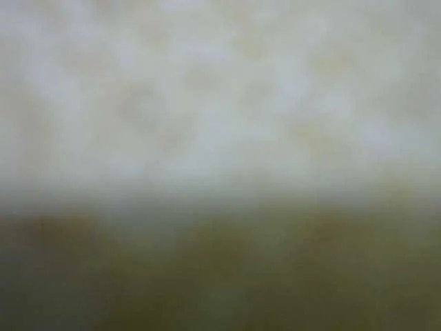 Freechat Queenfey on BongaCams