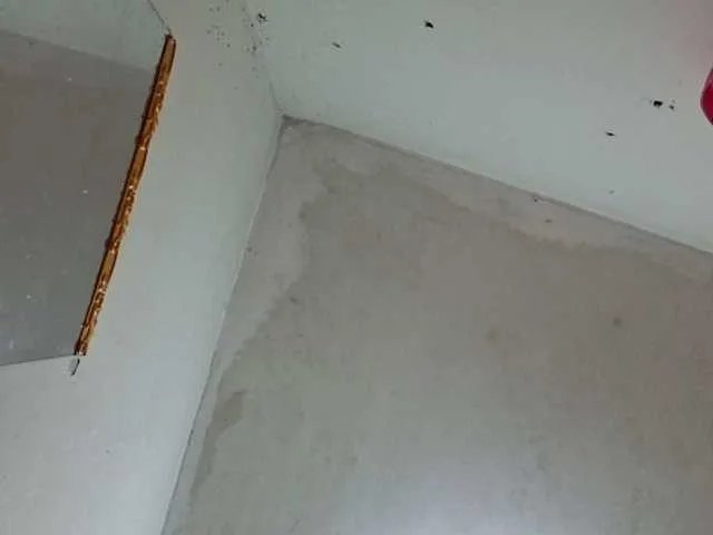 Offline sexyasian27 on BongaCams