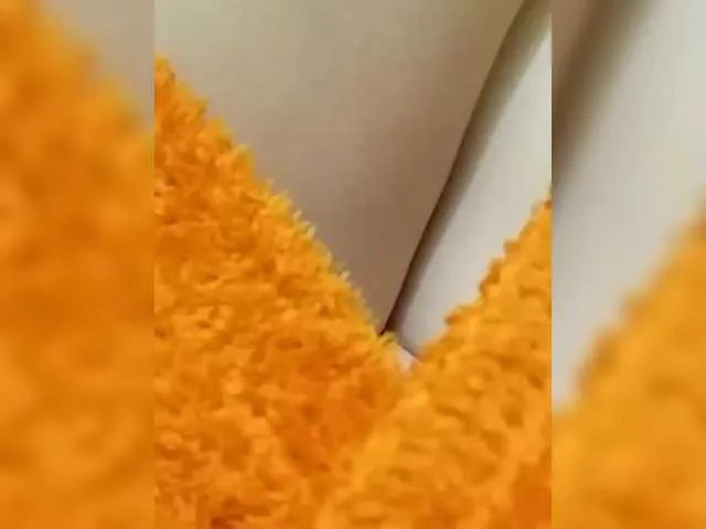 Offline ula2015 on BongaCams