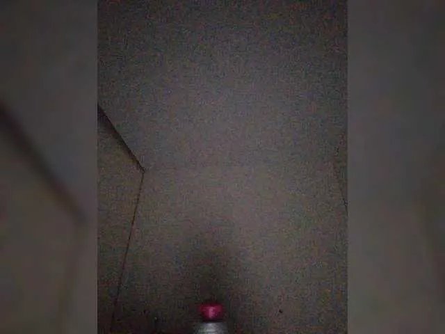 Freechat ZoeCamils on BongaCams