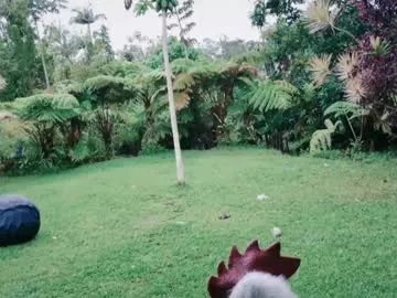 Freechat kaileeshy on Chaturbate