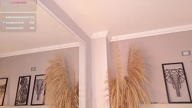 Freechat amy_miller1 on StripChat