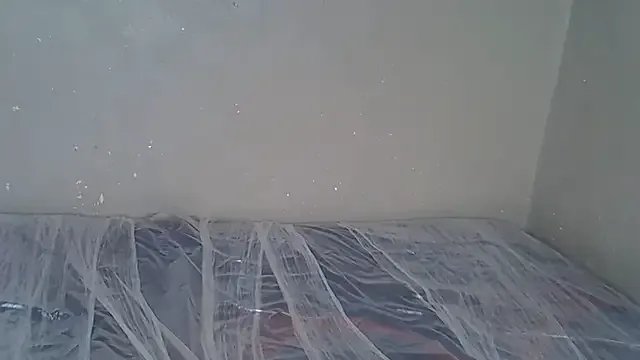 Freechat Bellabootie on StripChat