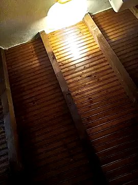 Freechat CurlyElisa on StripChat