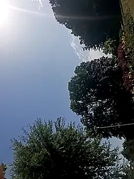 Freechat Dettybitch40 on StripChat