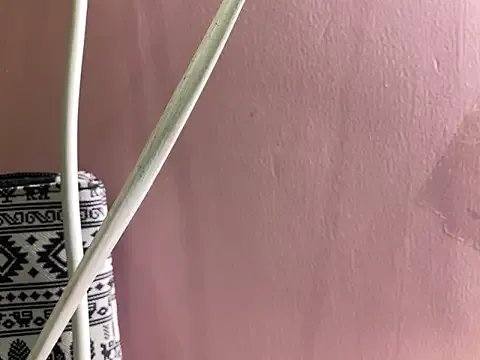 Private Fantastic_ruby on StripChat