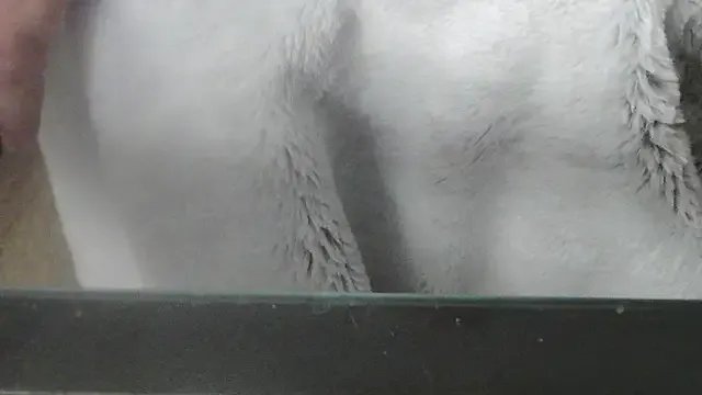 Freechat we_are_fucking_serious on StripChat