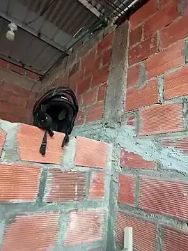 Freechat Zoe_Sweett18 on StripChat